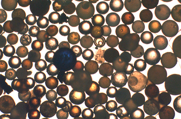 Microplastic particles under the microscope