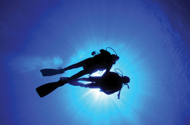 Divers in the sea collecting data