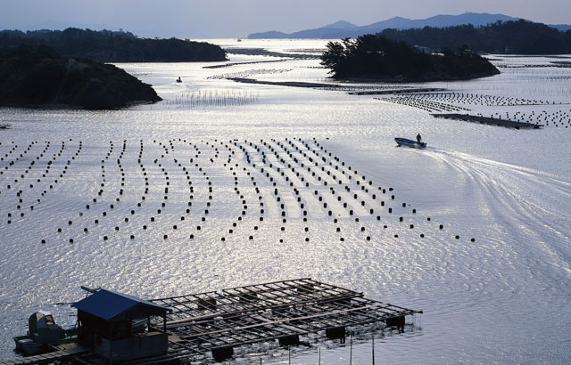 Aquaculture in marine water