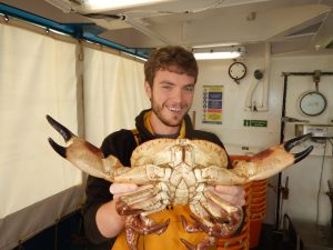 PhD student Phil Lamb on board RV Cefas Endeavour 2015 Poseidon cruise _holding a large male edible crab, Cancer pagurus_