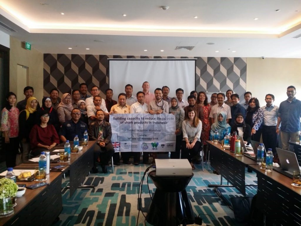 A group of scientists and officials meeting together to discuss the shark fin trade in Indonesia