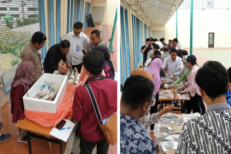 groups of people looking at shark fins