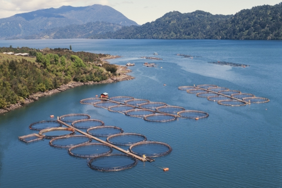 Aerial view of Salmon farm