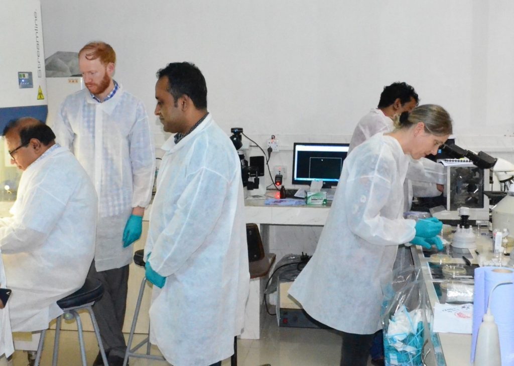 People in a lab looking at microscopes