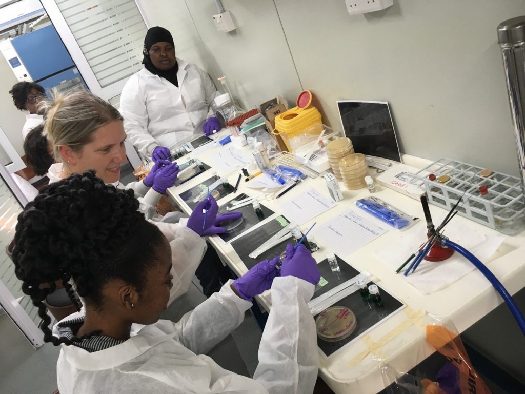 People in a lab preparing samples