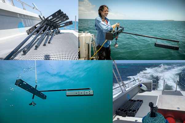 4 photos, From top left to right– mid-water BRUVS stacked and ready for deployment, deployment off the vessel stern by Naima Lòpez, a drifting mid-water BRUV and BRUVS disassembled at the end of the survey