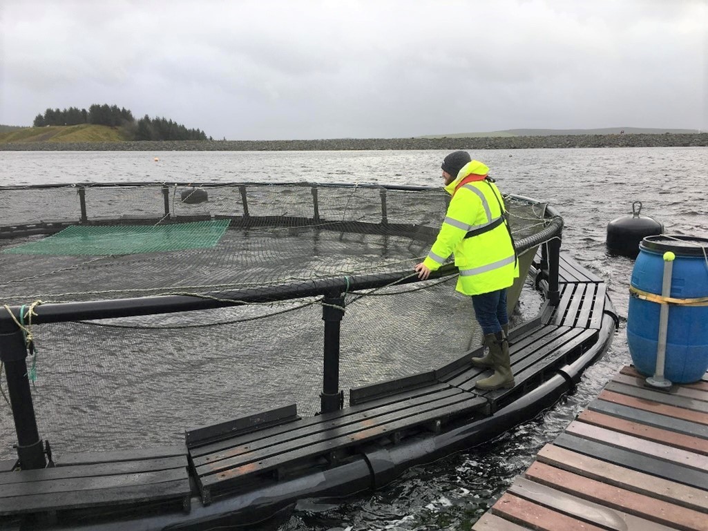 Fish Farm inspection