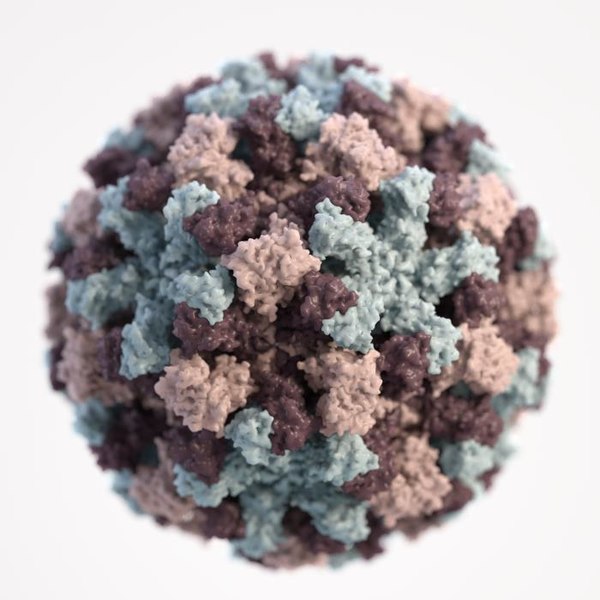 3D image of norovirus