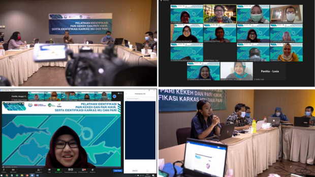 Collage of training at virtual and in-person events