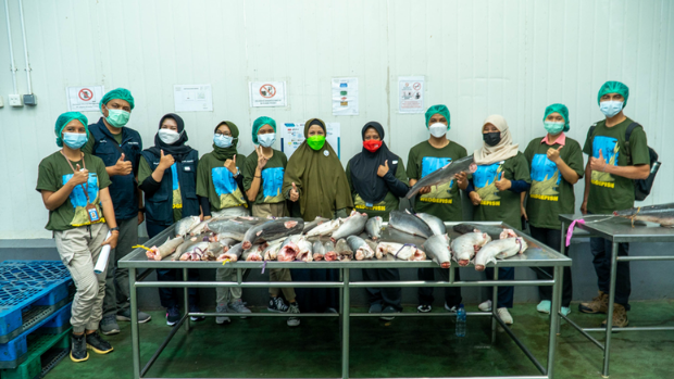 Participants at the trunk identification training workshop in Bali, December 2021.