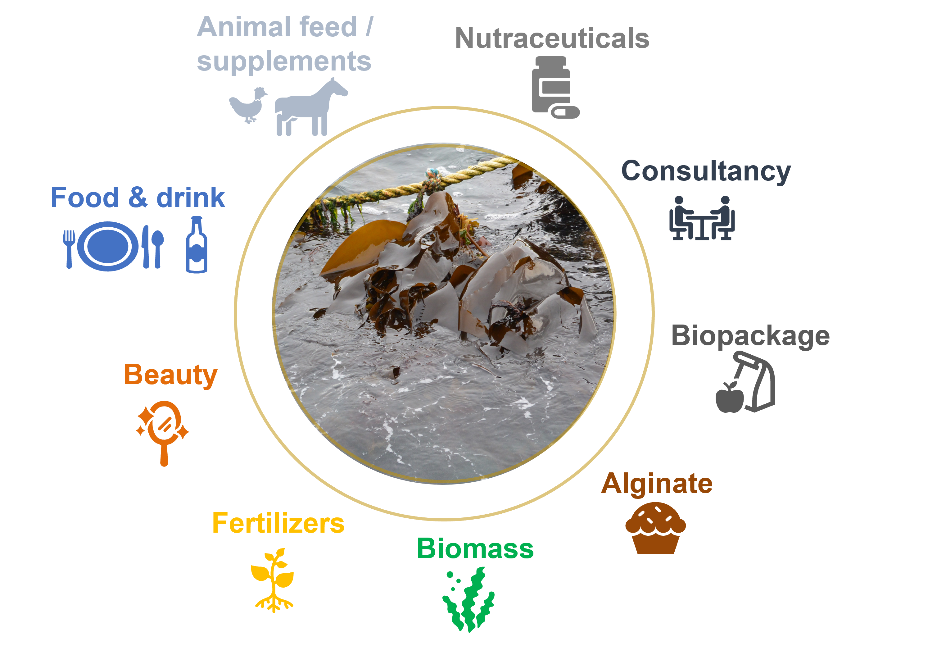 SEAWEED】The use of seaweed in agriculture