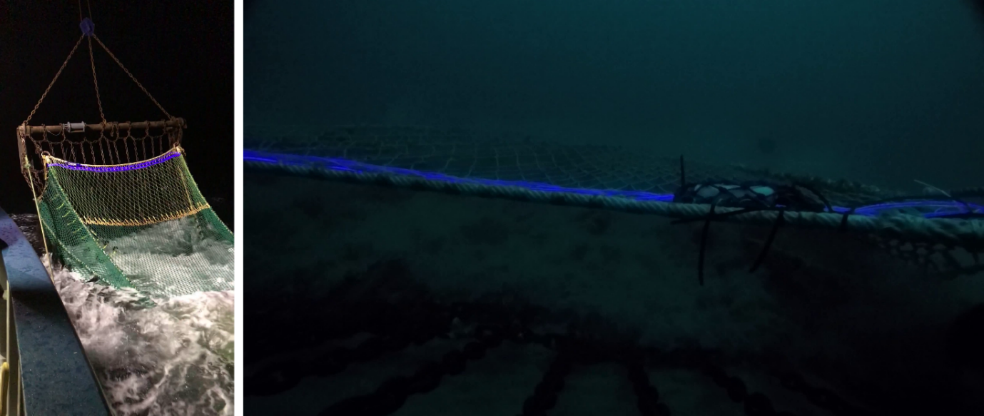 SmartGear laser light source and light line, deployed on the beam trawl, at the surface and on the seabed