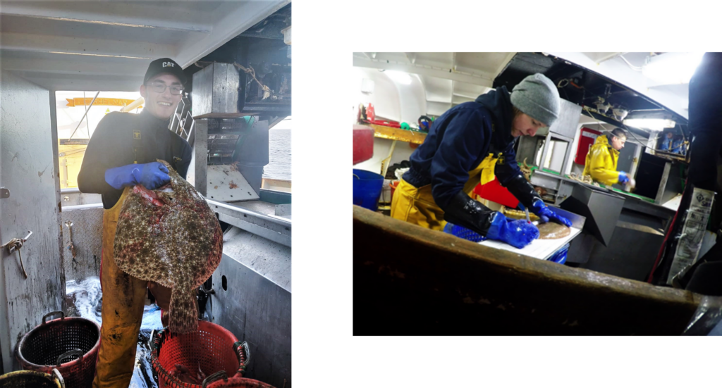 Fisheries observers sampling onboard the Western Channel sole and plaice survey