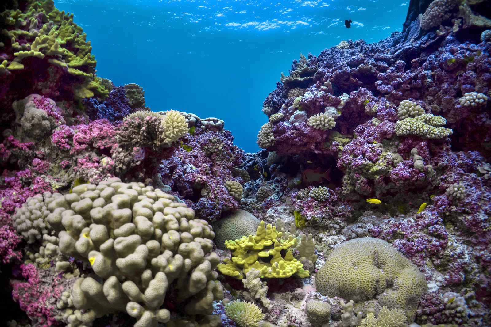 In deep water? Understanding the future climate risks to Pitcairn’s