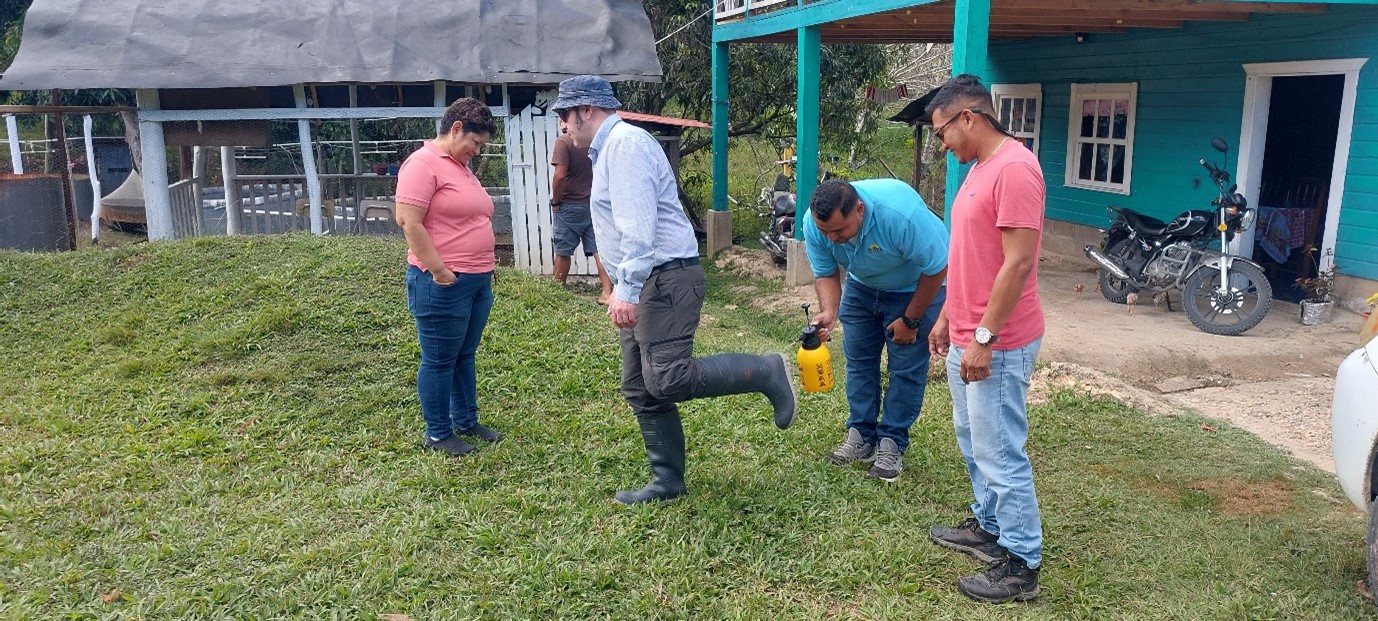 Spraying welly boots with disinfectant at fish farm