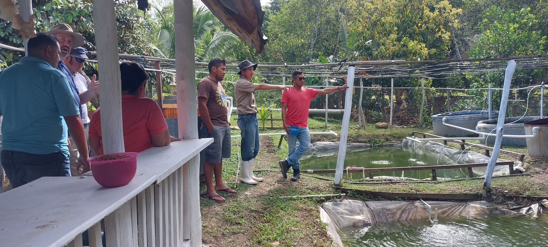 People at fish ponds in Belize