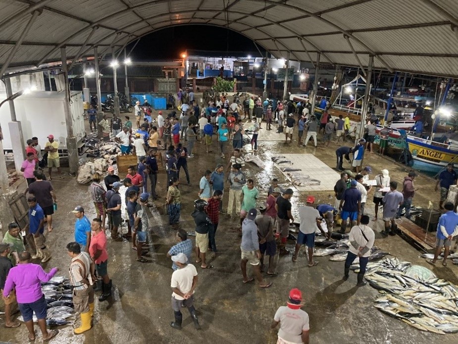 Sri Lankan fish market