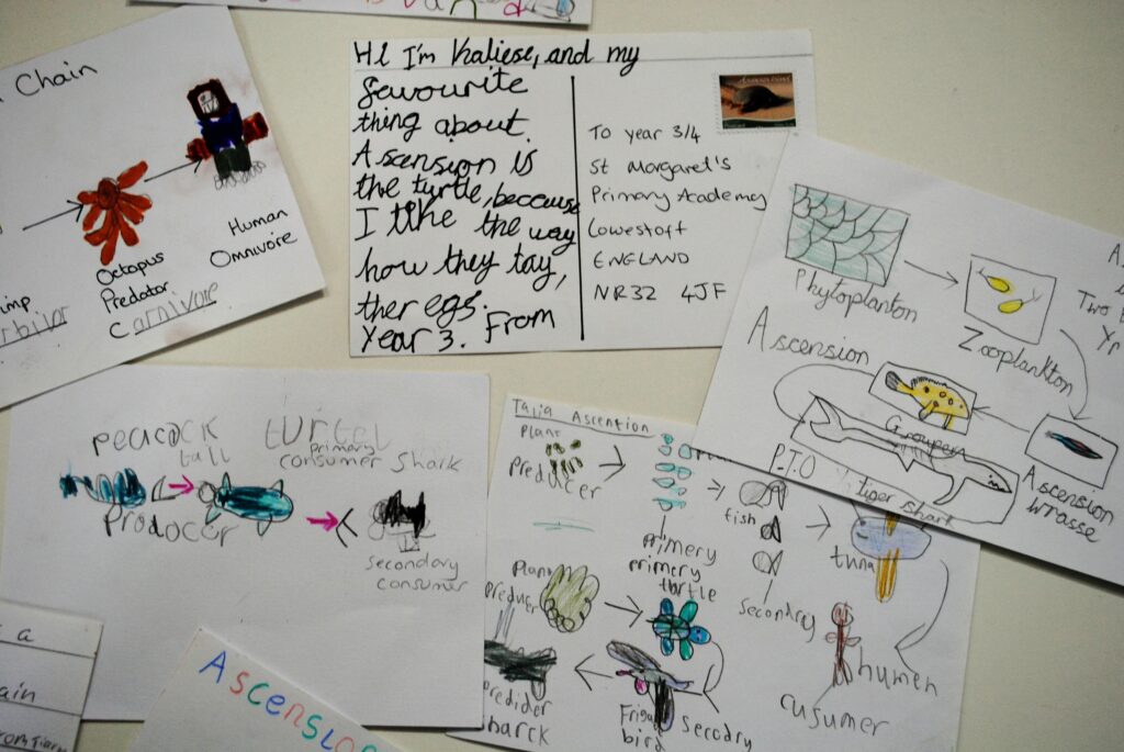 Image showing postcards received from Ascension Island pupils.