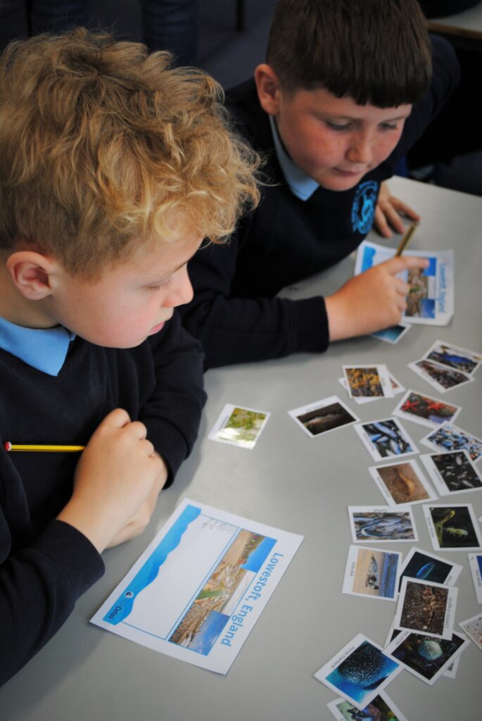 Two students in a classroom looking at food chain images
