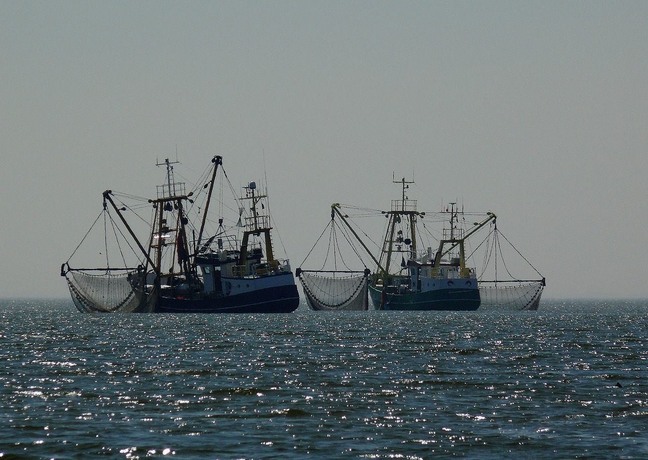 Two fishing boats at sea