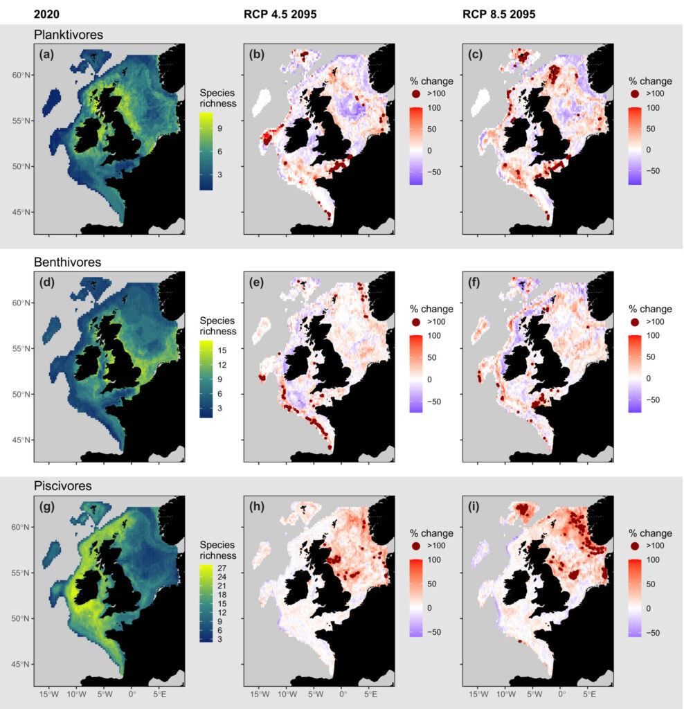 Figure showing changes to feeding guild species richness