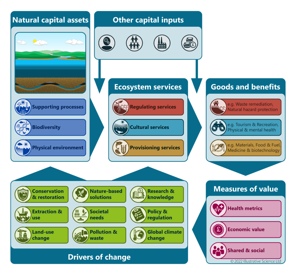 Summary diagram of the links between natural capital assets, 