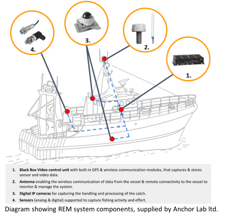 Diagram showing the various REM system components