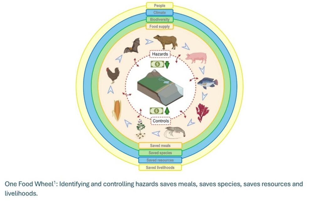 Diagram of the One Food wheel to visualise the need to identify and control hazards which saves meals, saves species, saves resources and livlihoods
