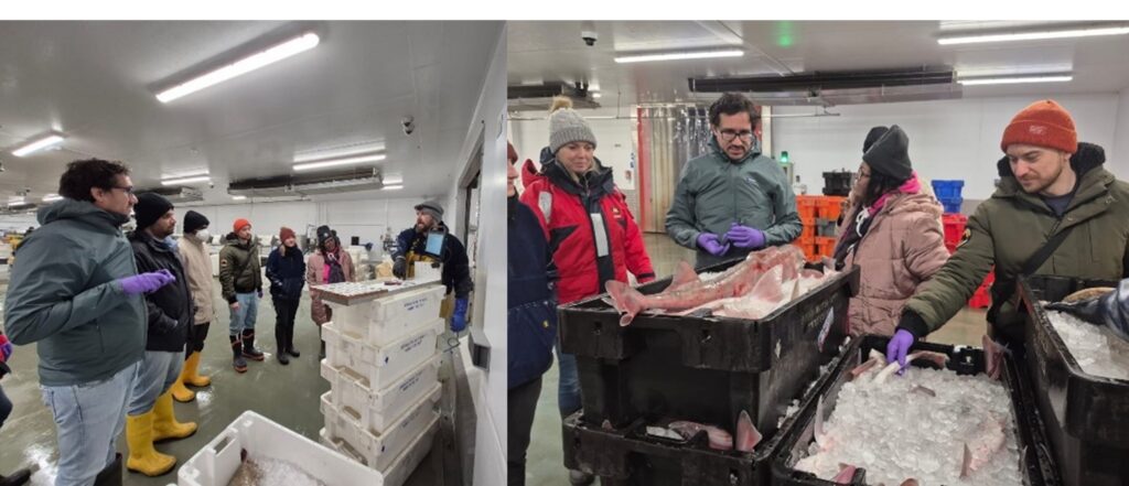 people looking at fish in a fish market