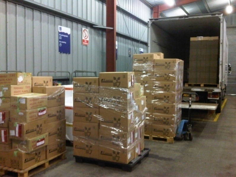 carboard boxes wrapped in clear plastic that are outside a lorry at
a border control point