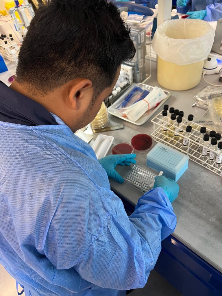 a person working at a lab bench