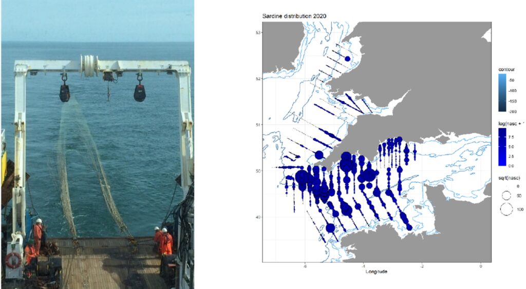 two images. On the left the back of a boat with a fishing net off it. On the right a map of the south west UK seas with plots of how many fish were found at different locations during the survey