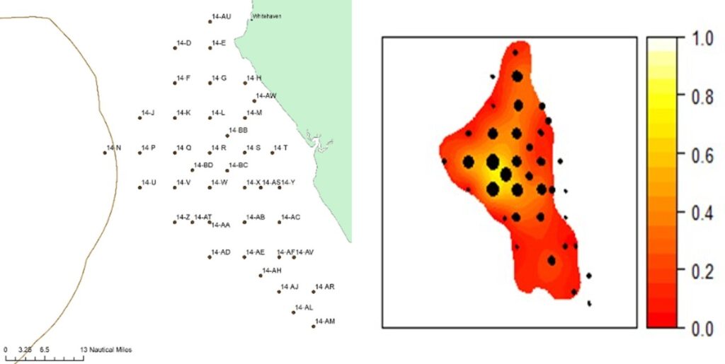 map of survey location points in the north sea and burrow density heat map (red map with varying sized black dots