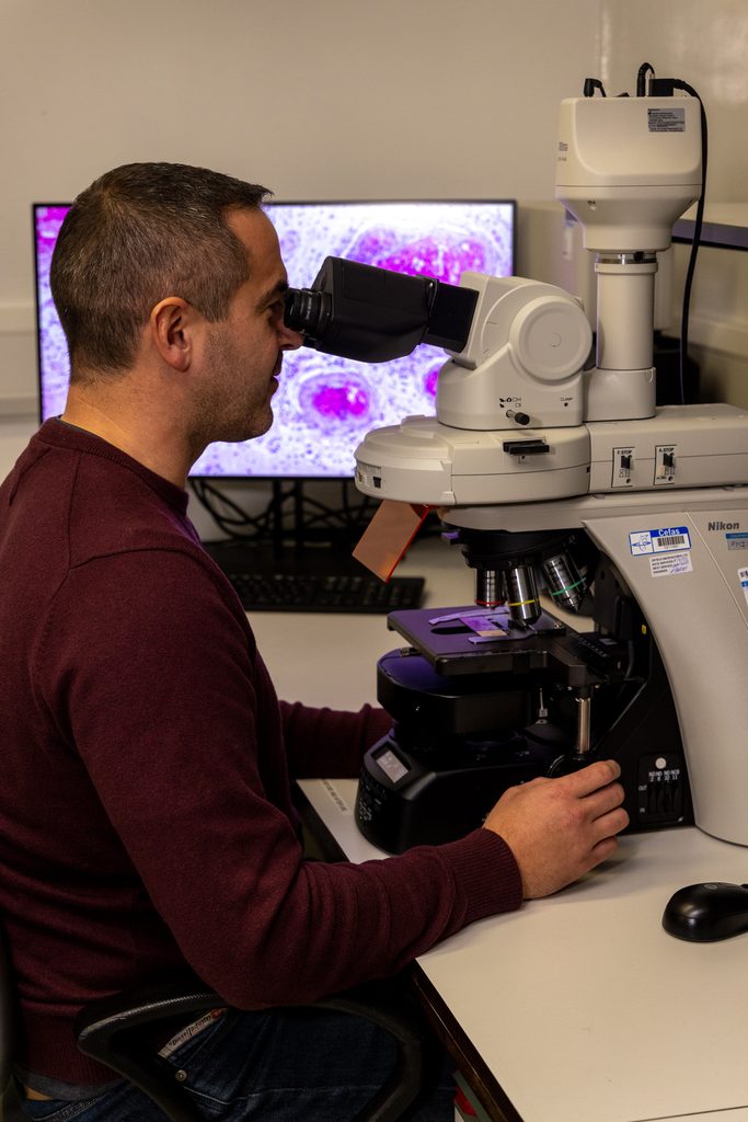 man in red jumper looking down microscope with images of cells on screen behind him